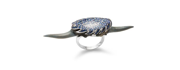 Chiara Passoni ring in 18-karat white gold and sterling silver with blue sapphires, diamonds and the fossilized shark teeth of the Carcharias Taurus, sand tiger shark, Pliocene-Miocene epoch - approx. 5 million years old, found in Bone Valley Group, Venice, Florida. (USA). 