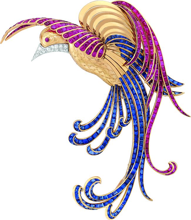 Birds of Paradise clip in yellow gold and platinum with rubies, sapphires, diamonds from the
Van Cleef & Arpels Collection, 1942. Photo: Van Cleef & Arpels SA.
