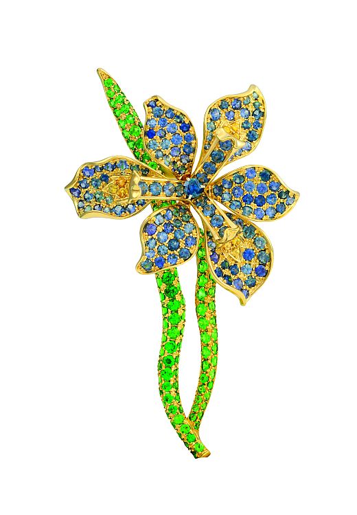 Paula Crevoshay Iris’ Emblem brooch in 18-karat gold set with Montana Yogo sapphires, blue and yellow sapphires, and tsavorite.