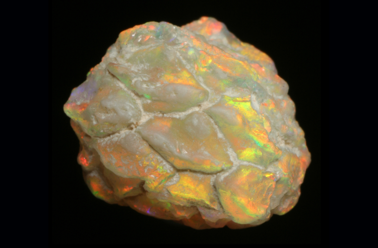 Fossilized opals, such as this reddish gold pinecone from an aruacarian tree that grew at Lightning Ridge 96 to 100 million years ago, are protected by law and may only be exported by special permit. This specimen was donated by S. Turner to the Australian Opal Centre, through the Australian Government's Cultural Gifts Program. Photo: Robert A. Smith.