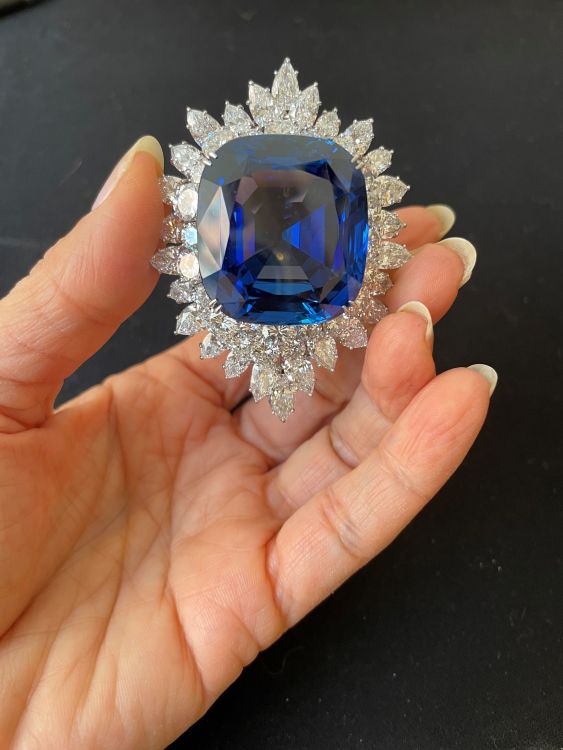 Harry Winston sapphire and diamond brooch auctioned by Sotheby's. Photo: Sharon Novak/jewelryathenaeum. 