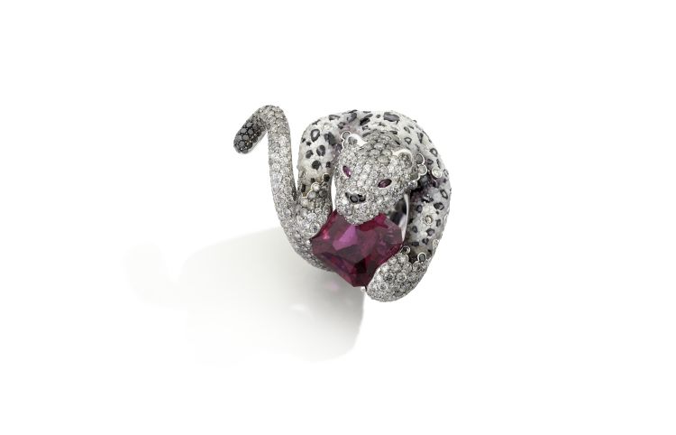 Sicis Jewels Damisa ice ring meticulously crafted from gleaming white gold, adorned with mesmerizing micromosaic, white, black and grey diamonds, fiery rubies, and the captivating radiance of rubellite (Sicis Jewels)