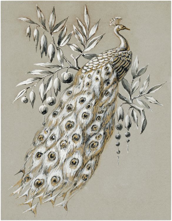 Design for a peacock corsage brooch, Joseph Chaumet, drawing studio, c. 1890, pen and black ink, gouache and ink wash with gold pigment on tinted paper. (Chaumet collections, Paris)